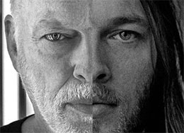 David Gilmour Official Licensed Merchandise