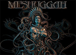 Meshuggah Merchandise