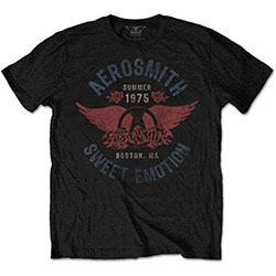 Aerosmith Unisex T-Shirt: Sweet Emotion