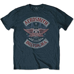 Aerosmith Unisex T-Shirt: Boston Pride