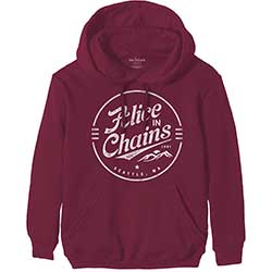 Alice In Chains Unisex Pullover Hoodie: Circle Emblem