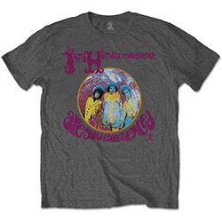 Jimi Hendrix Unisex T-Shirt: Are You Experienced?