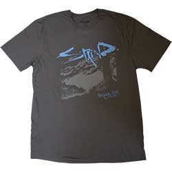 Staind Unisex T-Shirt: Break The Cycle