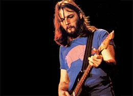 David Gilmour in Animals Tee