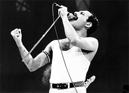 Freddie Mercury Official Licensed Music Merchandise