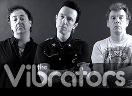 The Vibrators Merchandise