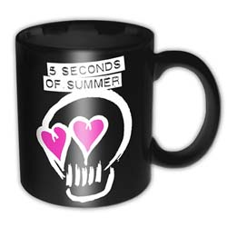 5 Seconds of Summer Boxed Standard Mug: Logo