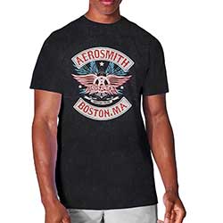 Aerosmith Unisex T-Shirt: Boston Pride (Snow Wash)