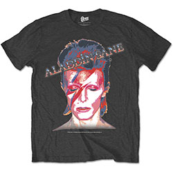 David Bowie Unisex T-Shirt: Aladdin Sane