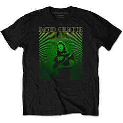 David Gilmour Unisex T-Shirt: Rays Gradient