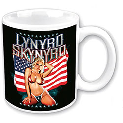 Lynyrd Skynyrd Boxed Standard Mug: American Flag