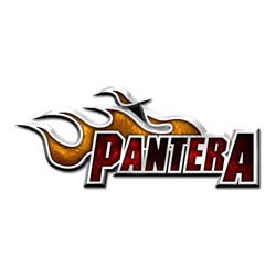 Pantera Pin Badge: Flame Logo