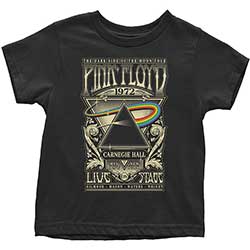 Pink Floyd Kids Toddler T-Shirt: Carnegie Hall Poster