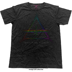 Pink Floyd Unisex Vintage T-Shirt: Why (X-Large)