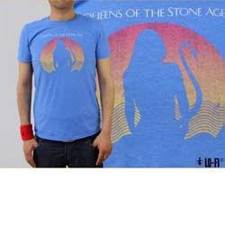 Queens Of The Stone Age Unisex T-Shirt: Succubus (Small)