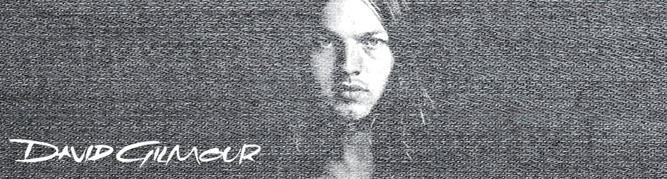 David Gilmour Official Licensed Merchandise